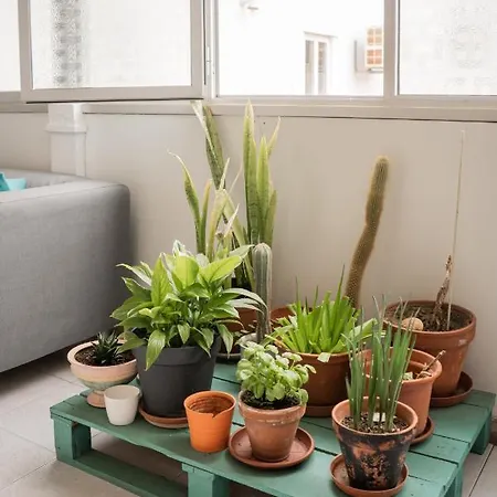 The Pocket Pillow House Distrikt Faro