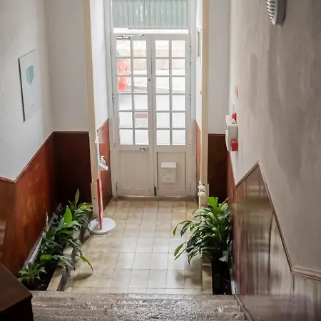 The Pocket Pillow House 招待所 法鲁区
